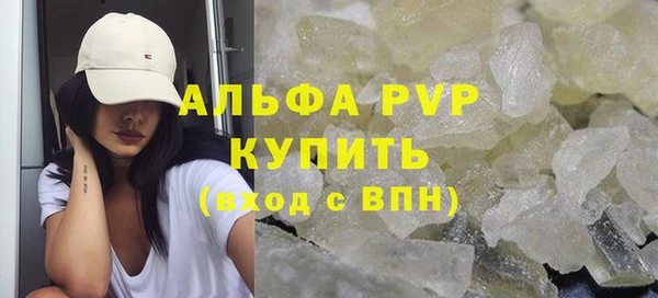 сатива Арсеньев