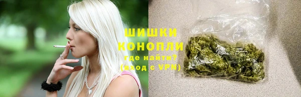 сатива Арсеньев