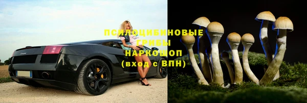 эйфоретик Алзамай