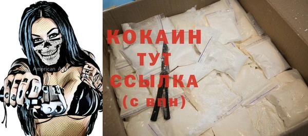 гидра Губаха