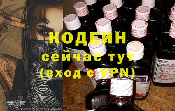 сатива Арсеньев