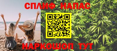 гидра Кингисепп