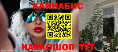 гидра Кингисепп