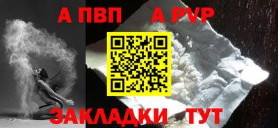 гидра Кингисепп