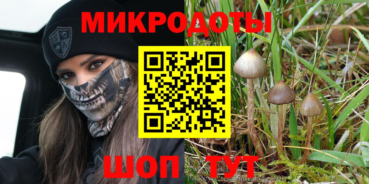 Псилоцибиновые грибы ЛСД  Галлюциногенные грибы GOLDEN TEACHER  Заинск  Вход с VPN 
